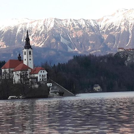 Alp Apartma Radovljica Bagian luar foto
